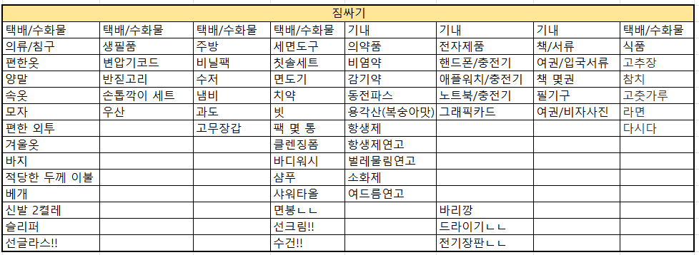 미국 정착을 위해 준비한 짐싸기 준비물 리스트
